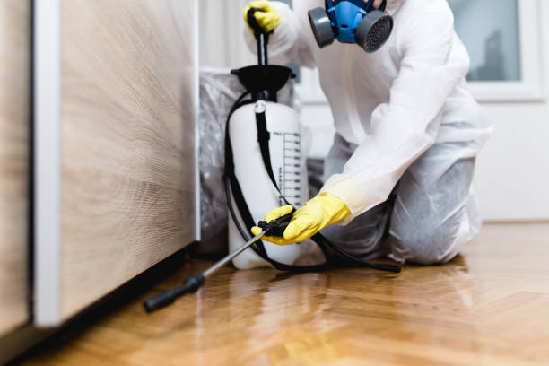 Best Pest Inspection Near Me  in Maywood, NJ
